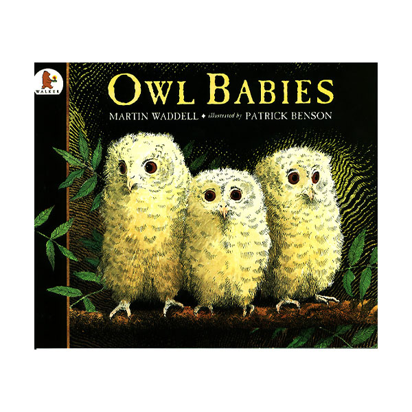 Pictory - Owl Babies (Paperback & CD)