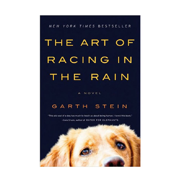 [ĺ:B] The Art of Racing in the Rain 