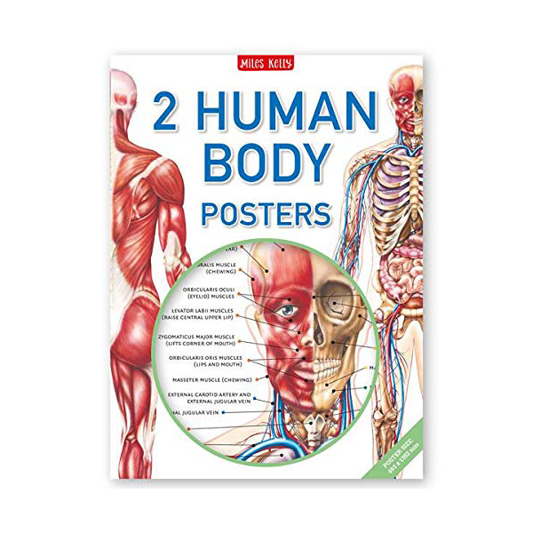  [특가] Human Body Poster Pack (Poster)