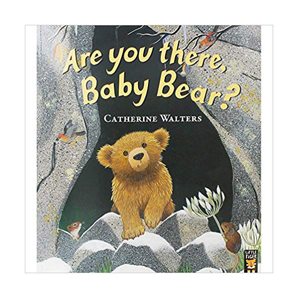 Are You There Baby Bear?
