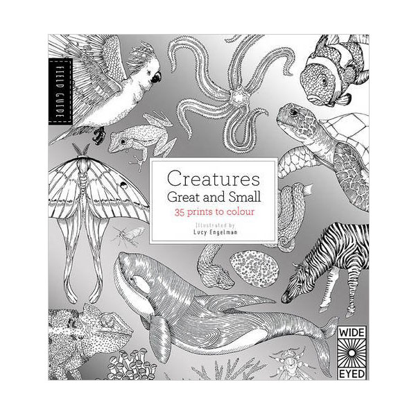 [특가] Field Guide: Creatures Great and Small (Paperback, 영국판)