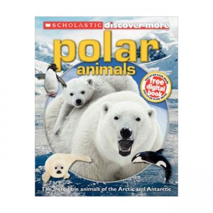 [Ư] Polar Animals : Discover More (Paperback, UK)