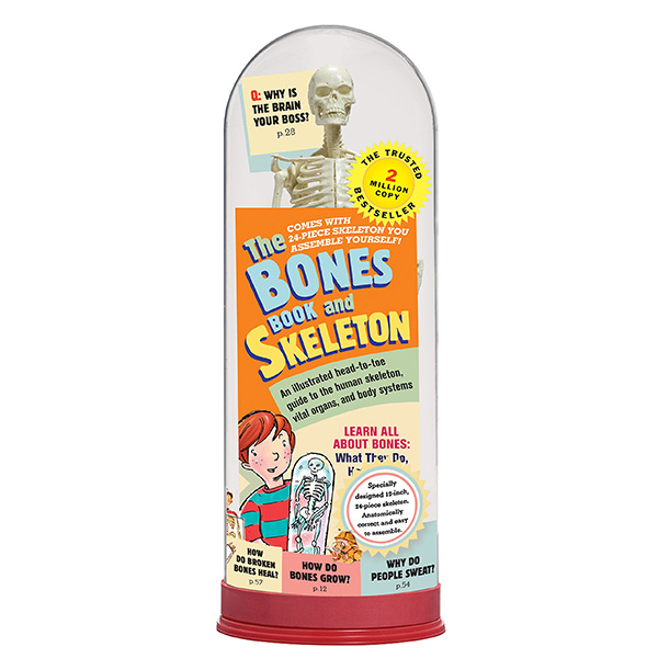 Bones Book And Skeleton