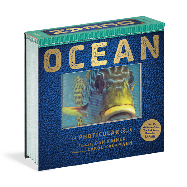 Ocean : A Photicular Book (Hardcover)
