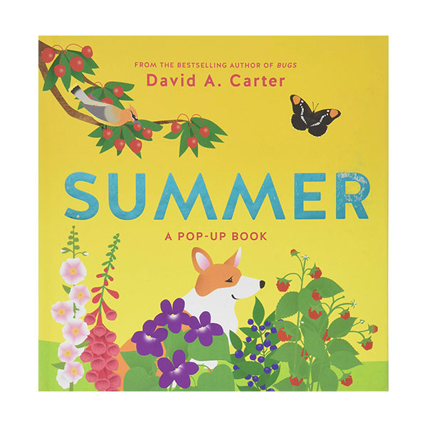 Seasons Pop-up : Summer (Hardcover)