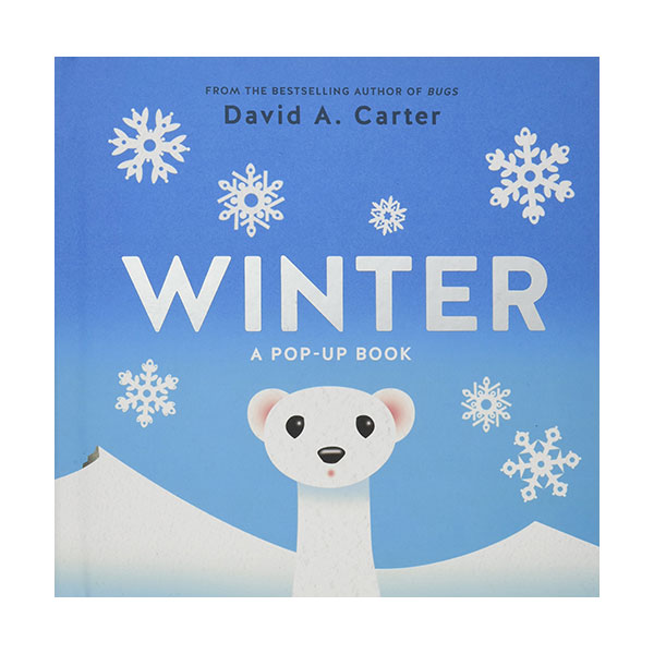 Seasons Pop-up : Winter (Hardcover)