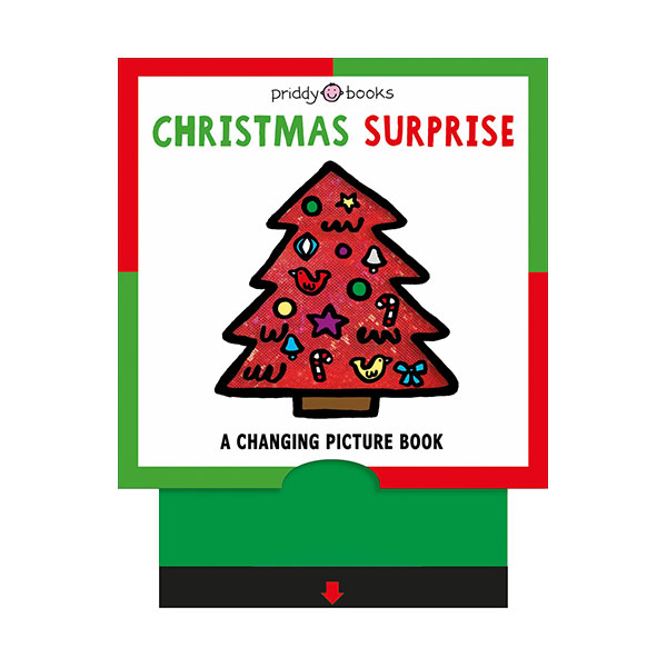 A Changing Picture Book : Christmas Surprise (Board book)
