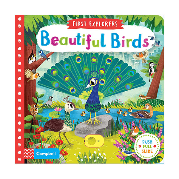 First Explorers : Beautiful Birds (Board book, 영국판)