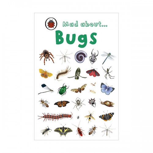 Ladybird Minis : Mad About Bugs (Hardcover, 영국판)