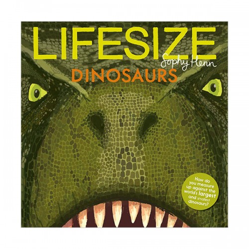 [소피 헨] Lifesize Dinosaurs (Paperback, 영국판)