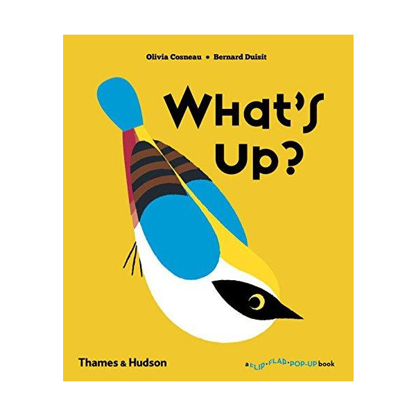 What's Up? : A Flip Flap Pop Up Book (Paperback)