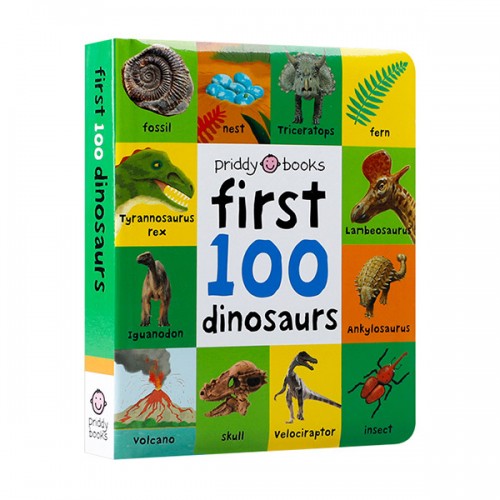 First 100 : First 100 Dinosaurs (Board book)