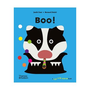 A Flip Flap Pop Up Book : Boo! (Hardcover, 영국판)