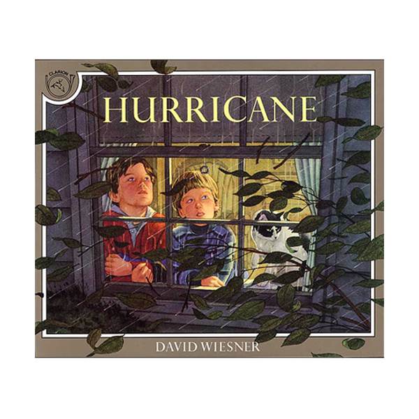 Hurricane (Paperback)