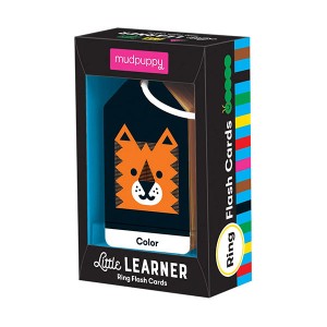 Little Learner Ring Flash Cards