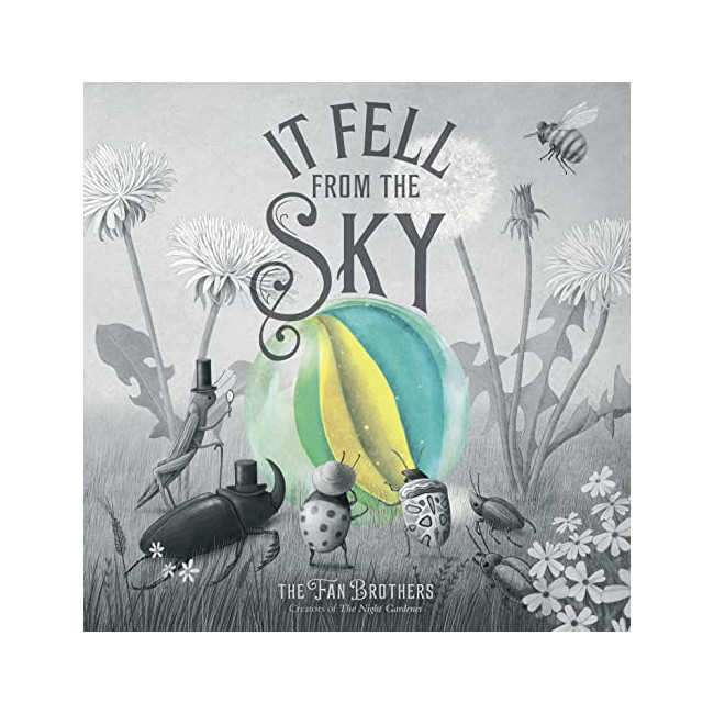 It Fell from the Sky (Paperback, )