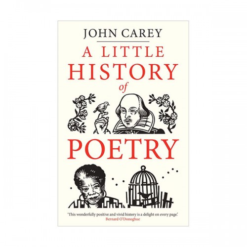 A Little History of Poetry (Hardcover, 영국판)
