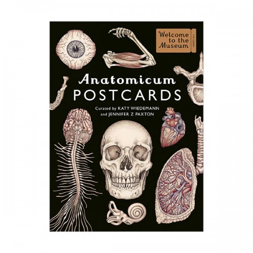 Welcome To The Museum : Anatomicum Postcard Box (Cards, 영국판)