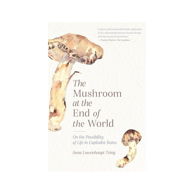 The Mushroom at the End of the World : On the Possibility of Life in Capitalist Ruins (Paperback, ̱)