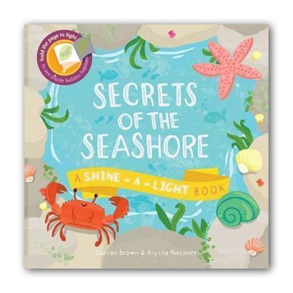A Shine-a-Light Book : Secrets of the Seashore (Paperback, 영국판)