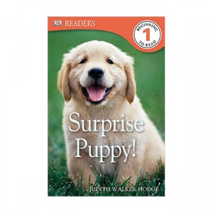 Dk Readers 1 : Surprise Puppy