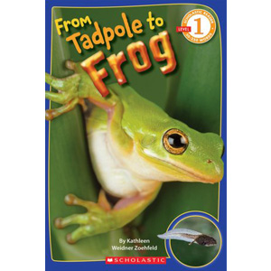 Scholastic Reader Level 1 : From Tadpole to Frog (Paperback)
