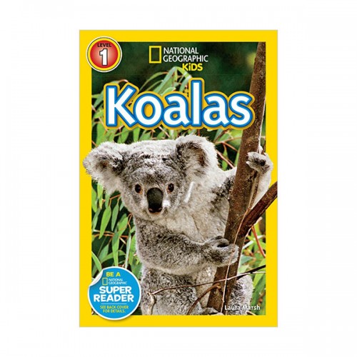 National Geographic Kids Readers Level 1 : Koalas (Paperback)