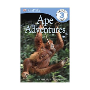 DK Readers 3 : Ape Adventures (Paperback)