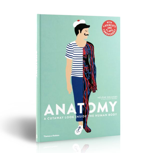  Anatomy : A Cutaway Look Inside the Human Body (Hardcover, 영국판)