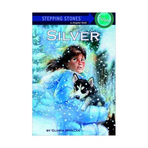 Stepping Stone Book Chapter : Silver (Paperback)