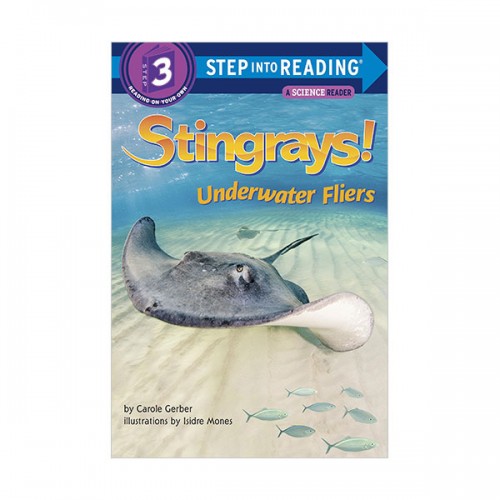 Step Into Reading 3 : Stingrays! Underwater Fliers (Paperback)