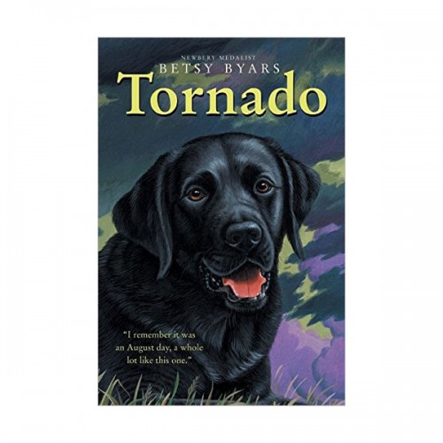 Trophy Chapter Books : Tornado