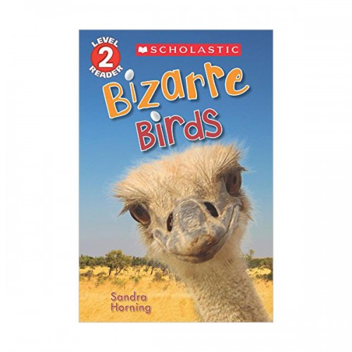 Scholastic Reader Level 2 : Bizarre Birds (Paperback)