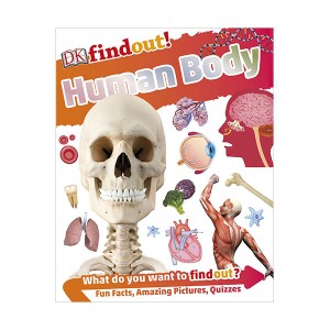 DK findout! : Human Body (Paperback, )