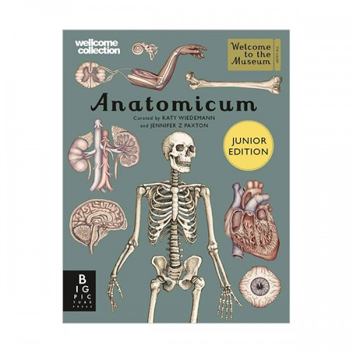 Welcome to the Museum : Anatomicum - Junior Edition (Hardcover, 영국판)