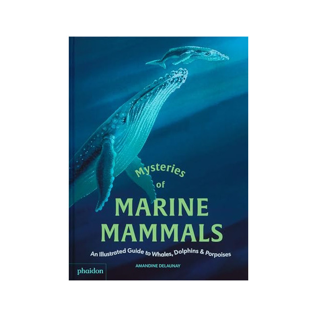 Mysteries of Marine Mammals