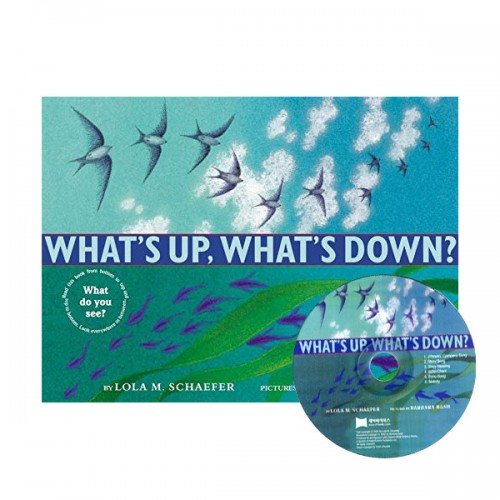 노부영 What's Up, What's Down? (Hardcover & CD)