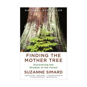 [파본:A급] Finding the Mother Tree : Discovering the Wisdom of the Forest (Paperback)
