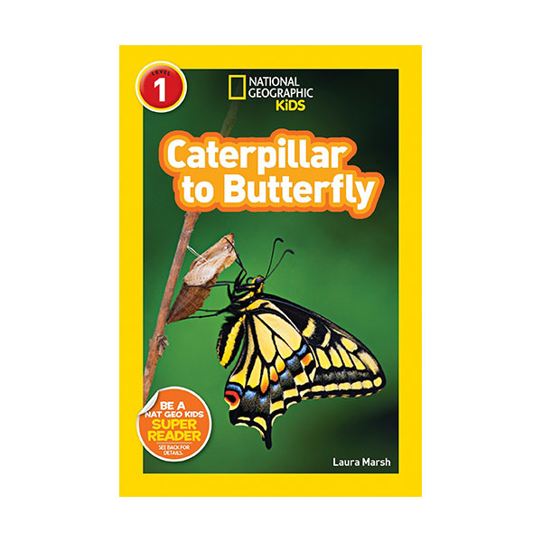 [파본:A급] National Geographic Kids Readers Level 1 : Caterpillar to Butterfly (Paperback)