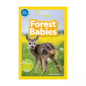 [파본:A급] National Geographic Kids Readers Pre-Reader : Forest Babies (Paperback)