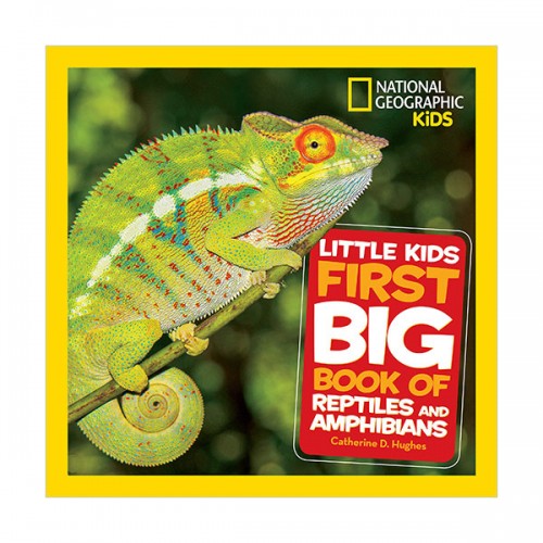 [파본:B급] Little Kids First Big Book of Reptiles and Amphibians (Hardcover)