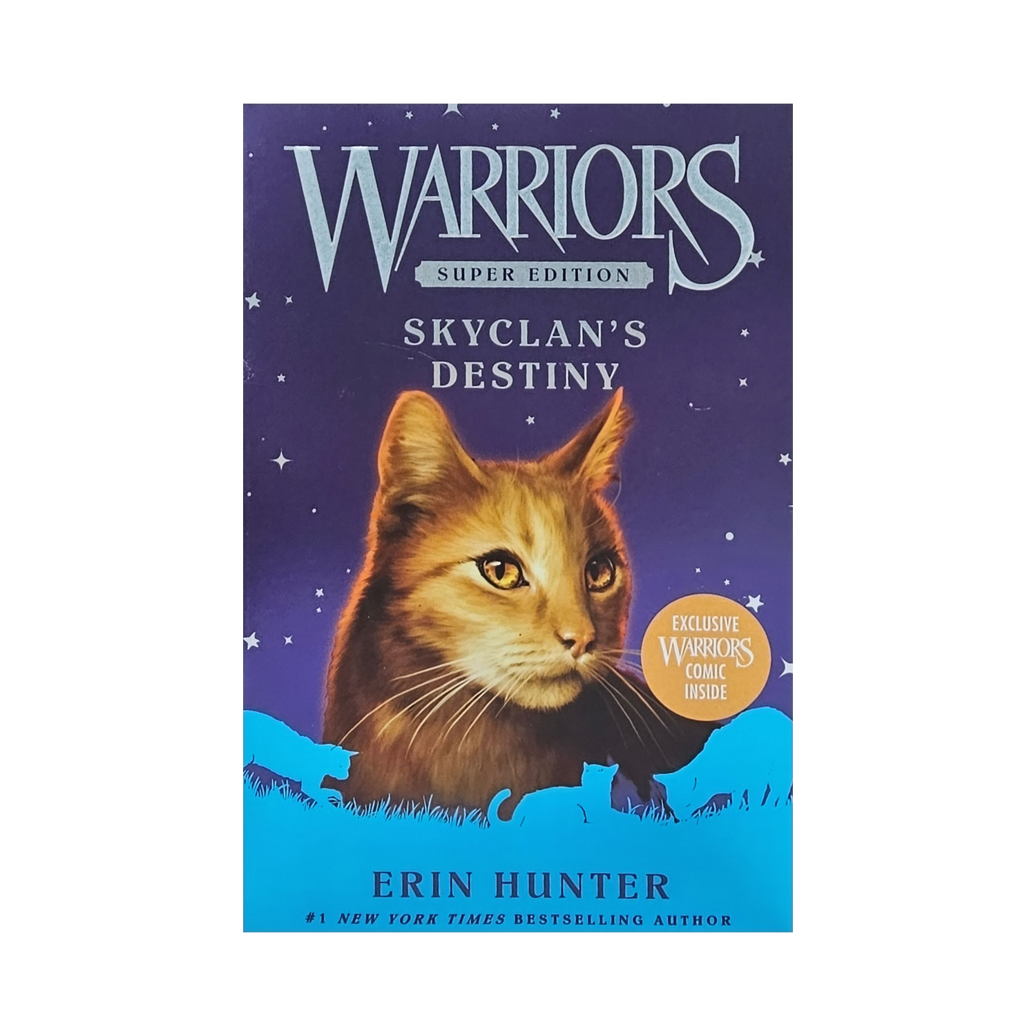 [�ĺ�:ƯA] Warriors Super Edition : Skyclan's Destiny (Paperback)