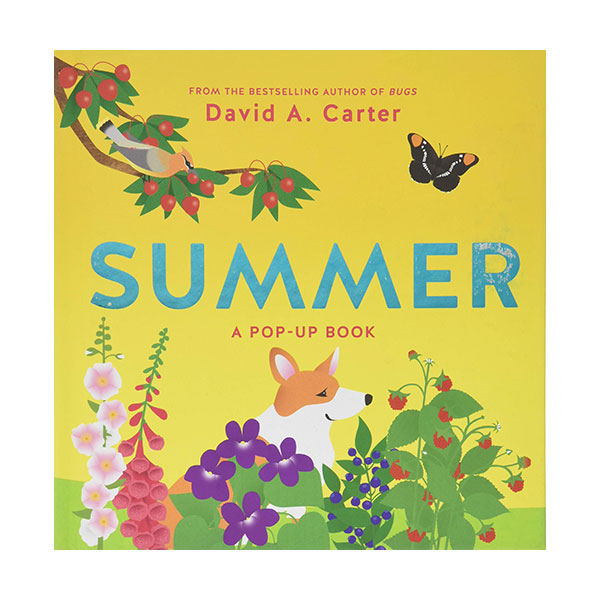 [ĺ:B]Seasons Pop-up : Summer
