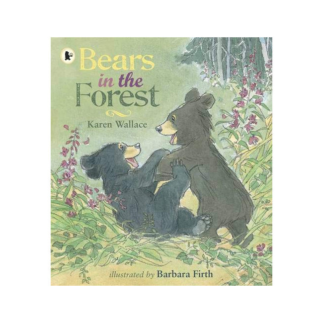 Bears in the Forest - Nature Storybooks