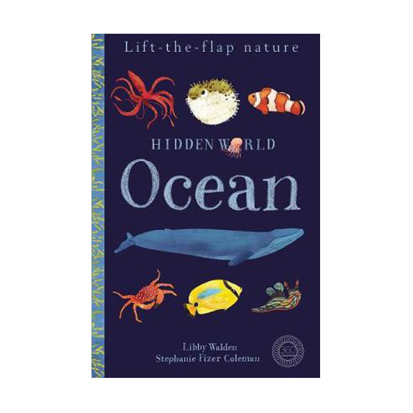 Hidden World: Ocean (Hardcover, 영국판)