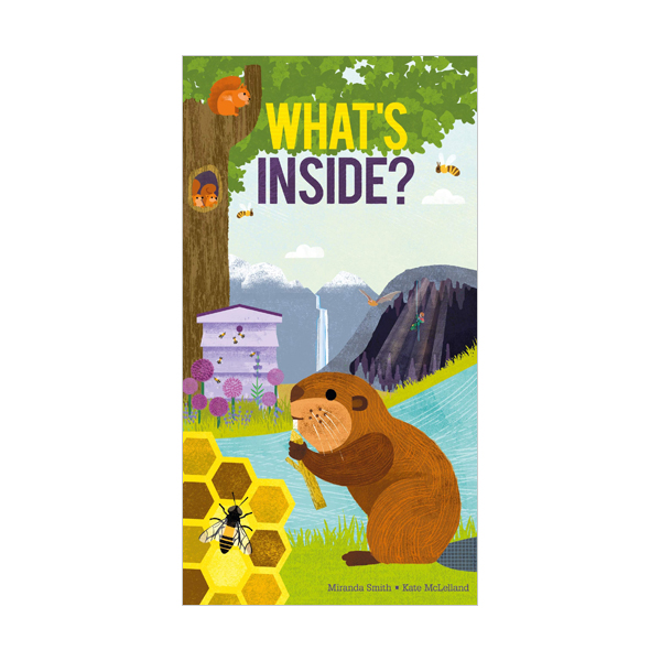POP-UP : What's Inside? (Hardcover, 영국판)