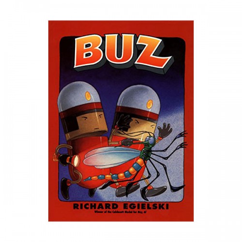 Buz (Paperback)