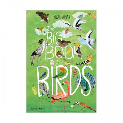 The Big Book of Birds (Hardcover, UK)