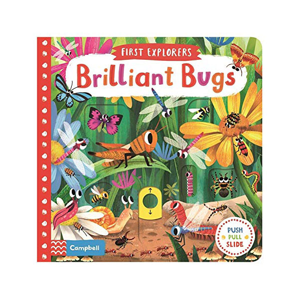 First Explorers : Brilliant Bugs (Board book, 영국판)