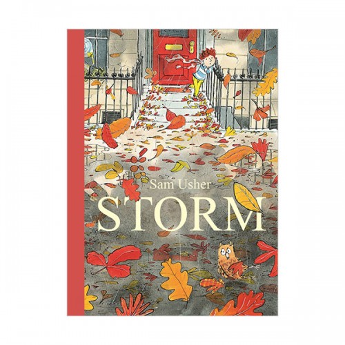 Storm : 폭풍우 치는 날의 기적 (Paperback, 영국판)